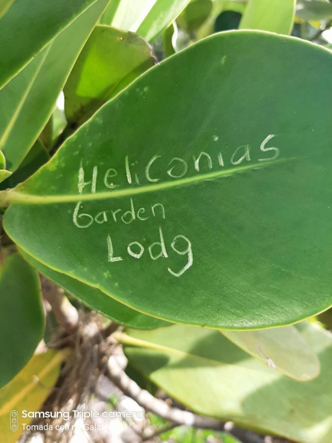 Drakes Bay Garden Of Heliconias Lodge מראה חיצוני תמונה